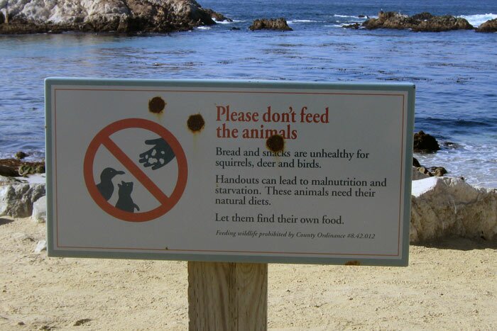 Табличка: Please don't feed the animals